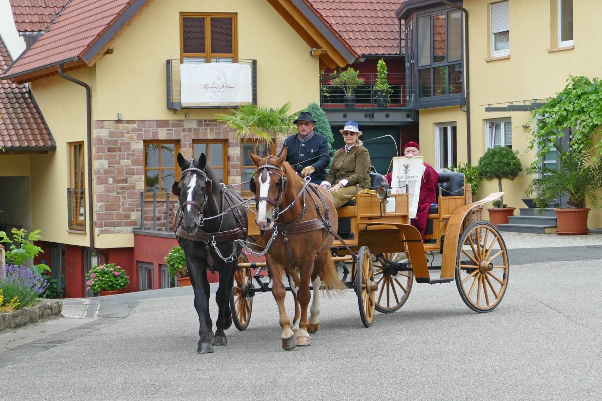 Hotel Garni Sebastian Kirrweiler  Экстерьер фото